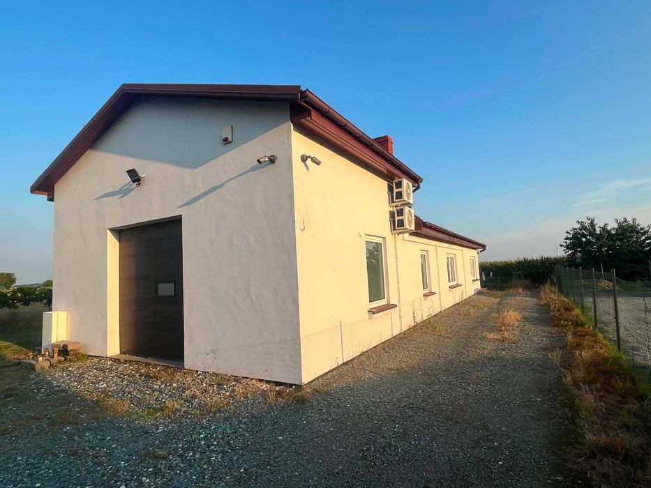 Lokal do wynajęcia