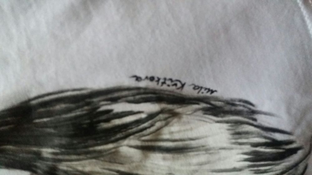 Футболка с красивой картинкой