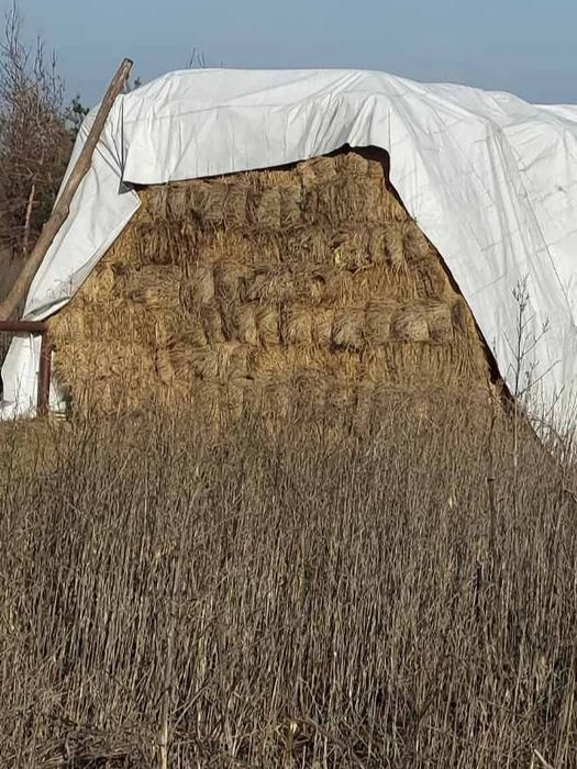 Сіно лугове в тюках