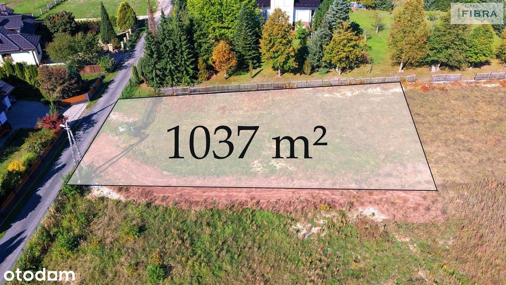 Tam, gdzie śpiewają ptaki - Widok 5