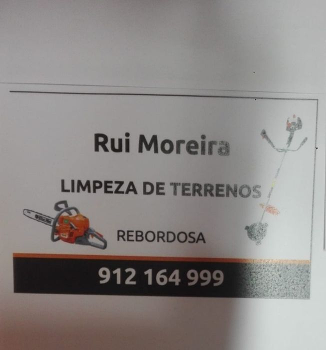 Limpeza de terrenos e venda de lenhas