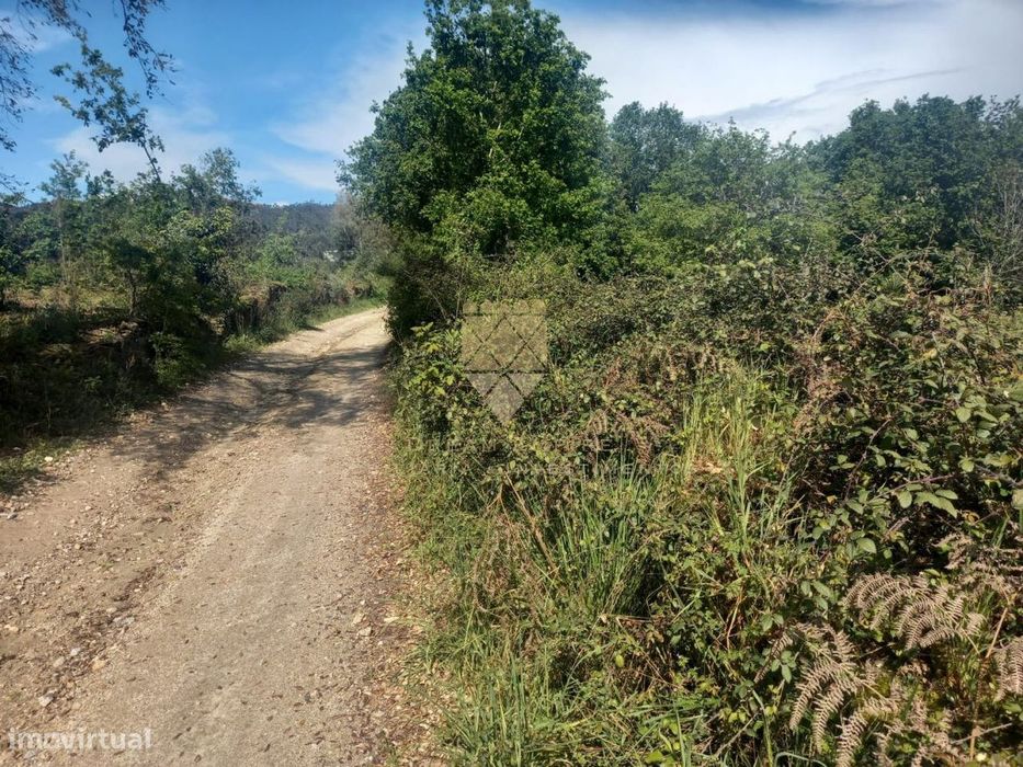 Plot of Land Measuring 3,600 m² – Near the Center of Recarei