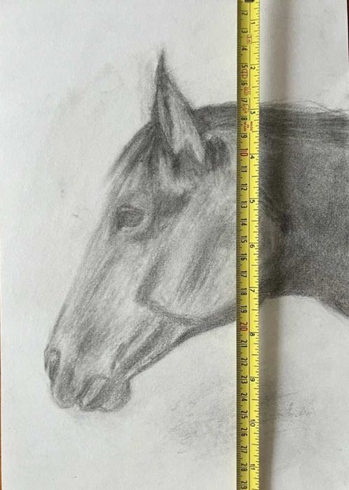 Desenho a Carvão - Cabeça Cavalo