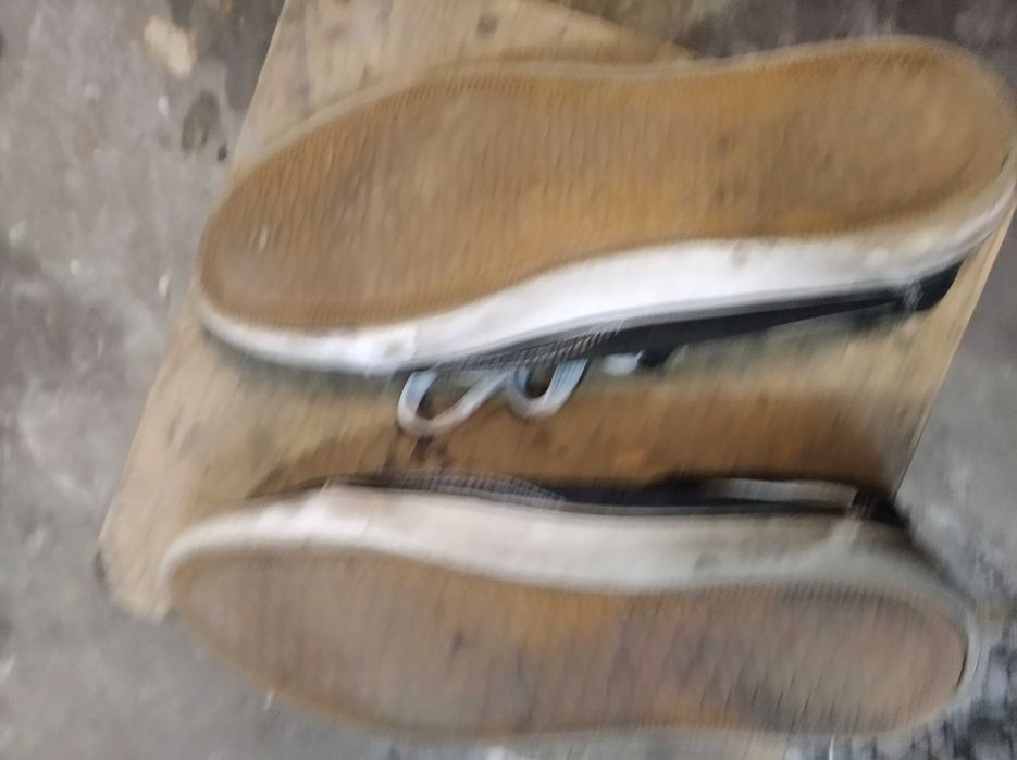 Кросівки від adidas