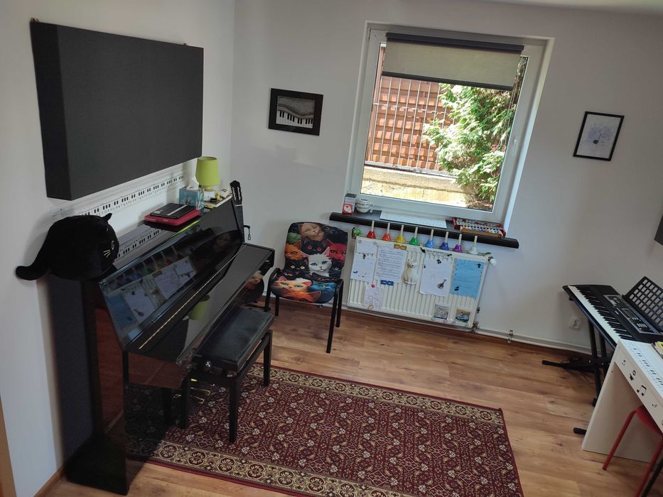 Nauka gry na pianinie, gitarze, ukulele i perkusji - prawobrzeże.