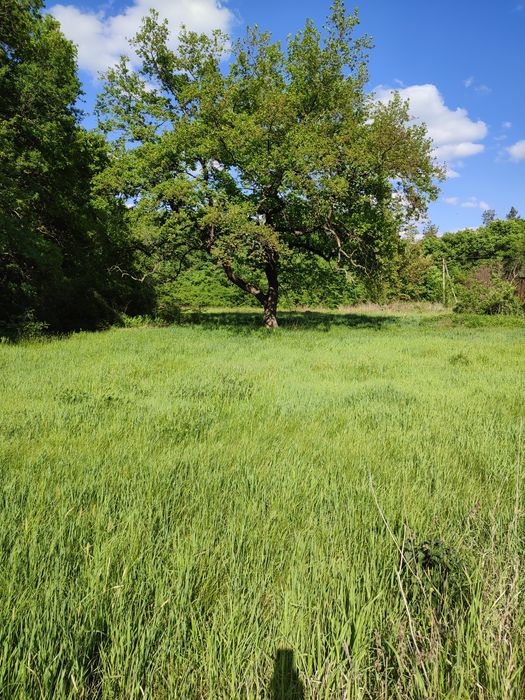 Продам участок,орловщина