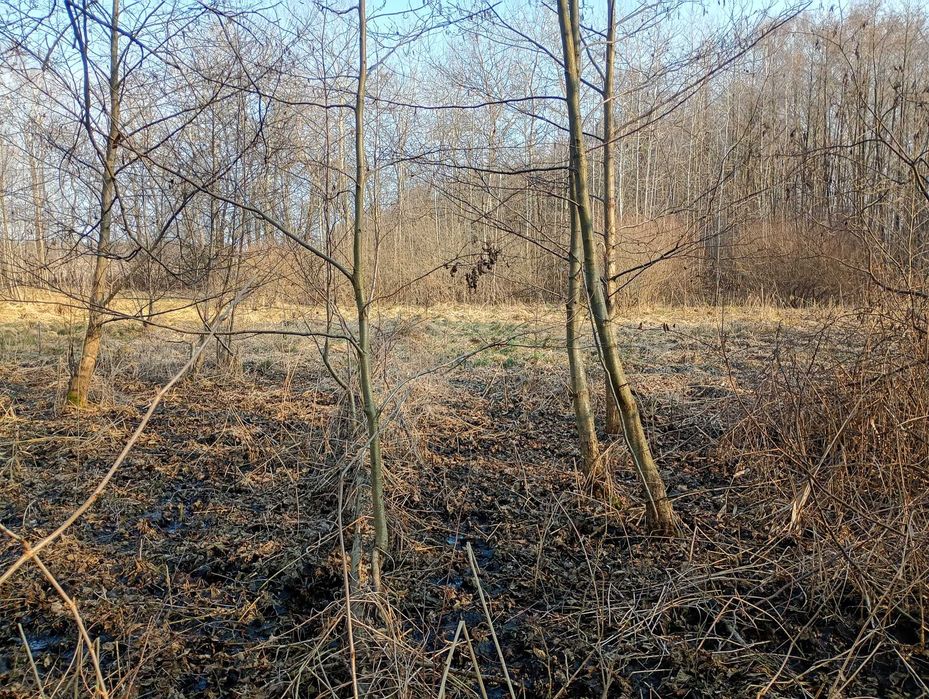 Grunty orne z łąka (0,7569 ja) - Widok 5