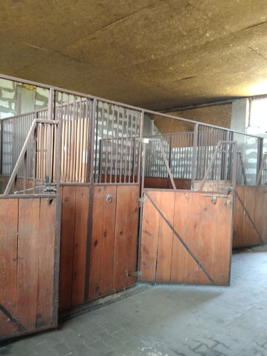 Stajnia dla koni, Dom z Gospodarstwem Staw, Siedlisko