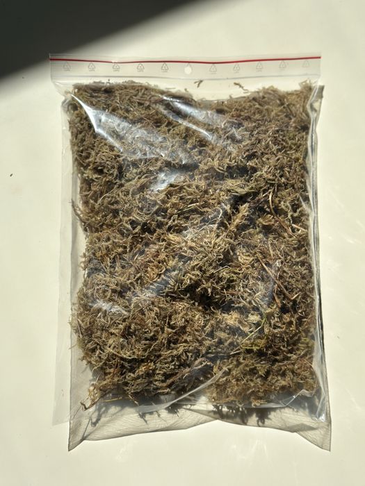 Mech torfowiec - Sphagnum Moss - do palików lub ukorzeniania roślin