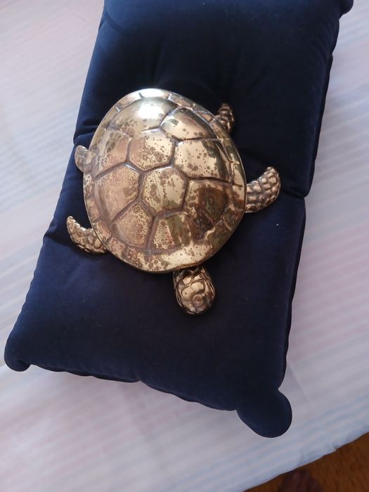 Tartaruga em bronze