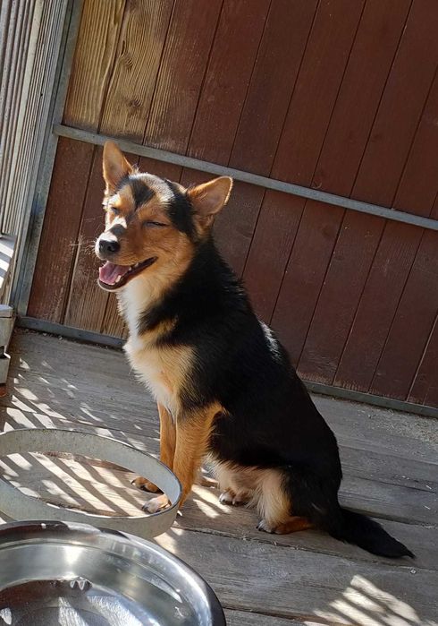 Flisak poleca się do adopcji :)
