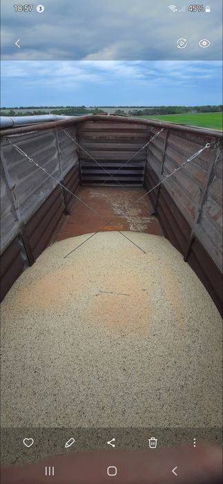 Прицеп Коротыш Контейнеровоз 20-30