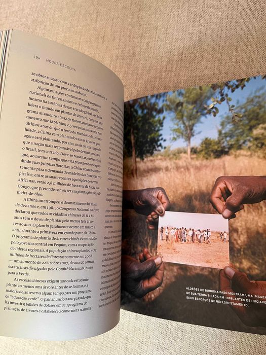 Livro A Nossa Escolha- Plano para Resolver Crise Climática