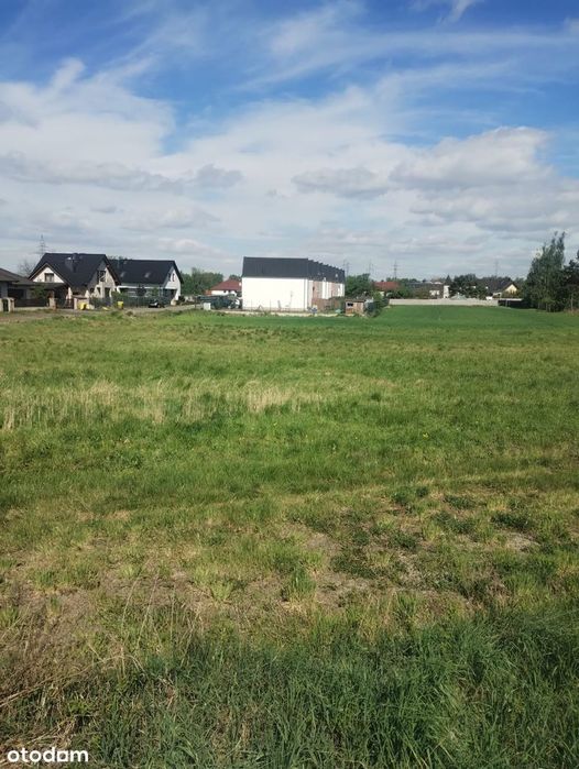 Działka budowlana w Opole Szczepanowice -42 ar- Większy teren zabudowę