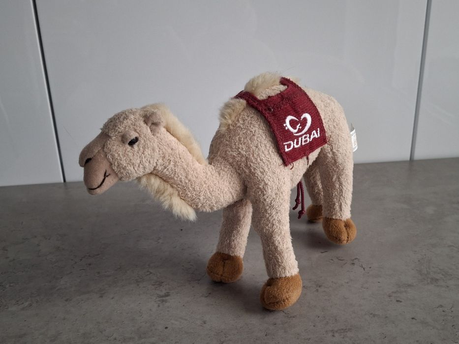 Dubaj wielbłąd misiek maskotka
