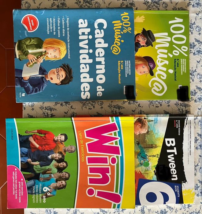 Manuais escolares 6 ano