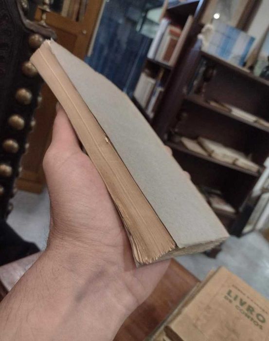 A Memória de Cecilia Guimarães - Luiz Guimarães