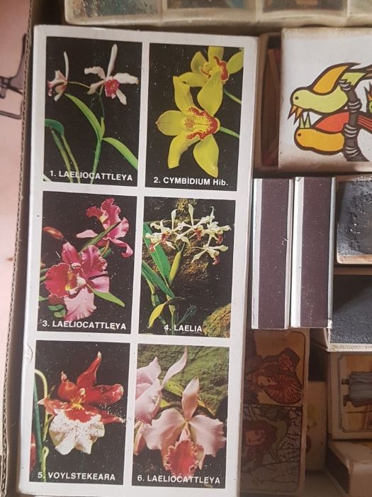 Coleçao de Caixas de fósforos