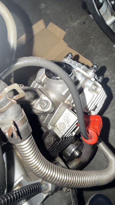 Honda dax monkey