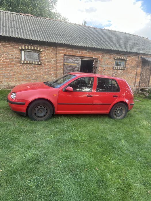 Wolksvagen   golf