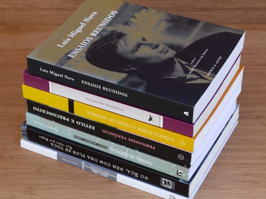 Lote de livros - Ensaios/estudos Literatura Portuguesa