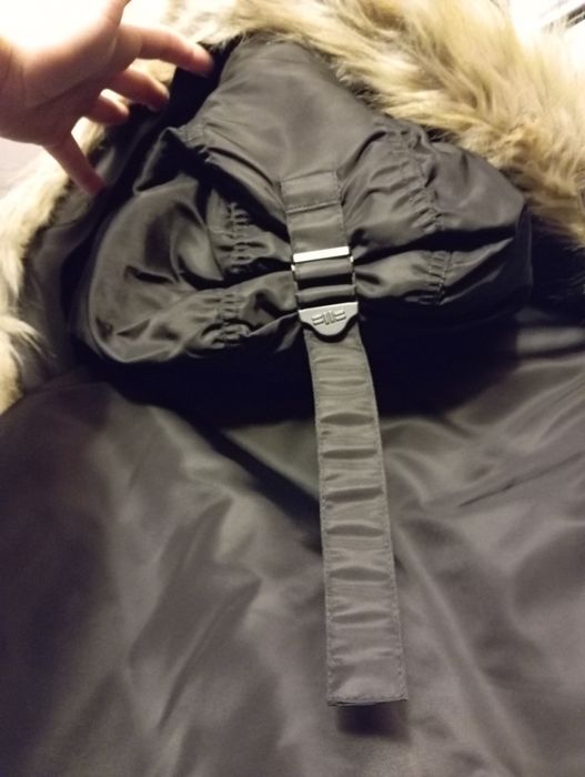 Bomberka męska Pitbull