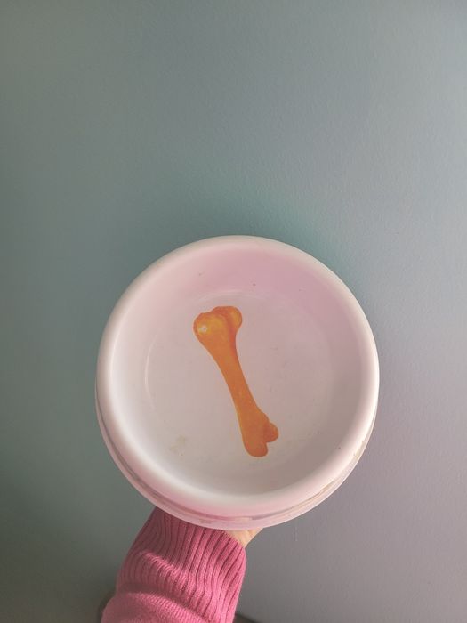 Comedouro para animal