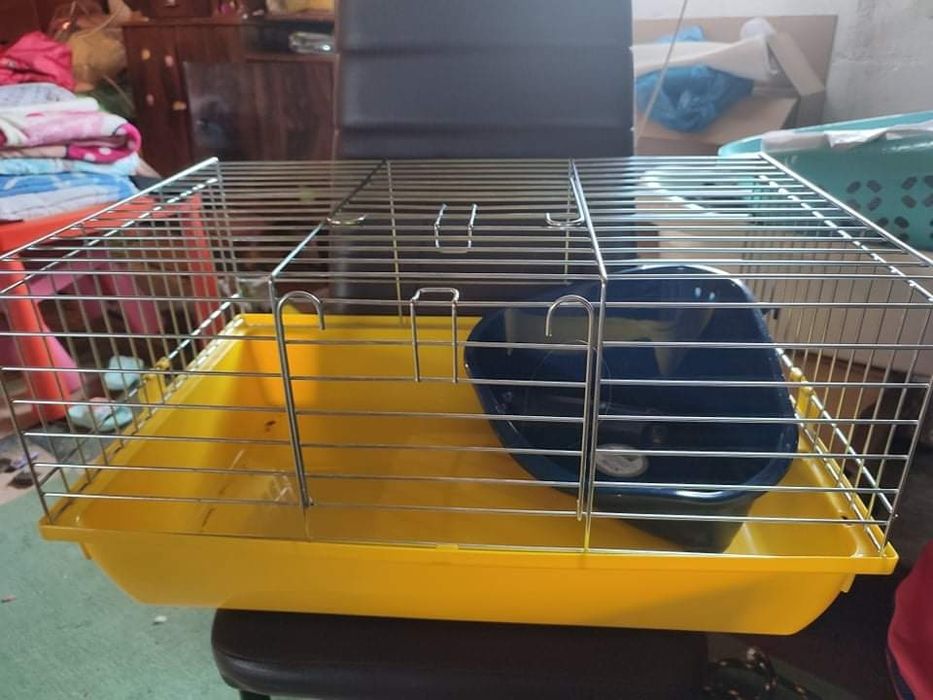 Kladka  dla zwierzat