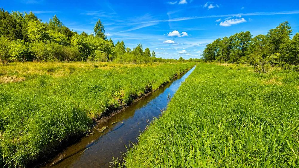 Prywatna przestrzeń z potencjałem 4,47ha- warunki zabudowy na 0,5 ha - Widok 4