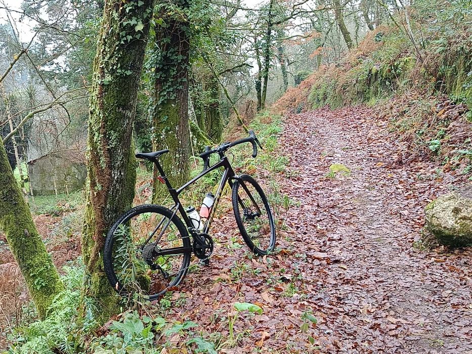 Giant Revolt 1 gravel M/L