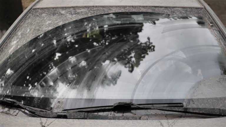 Limpeza de estofos, mais cristalização dos vidros.