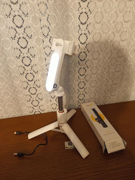 Selfie stick show light