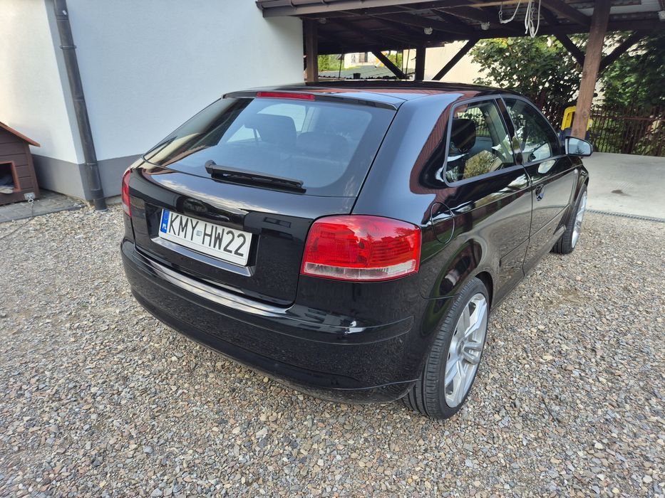 Audi A3 8P 3-drzwiowe  1.9 TDI  105 KM