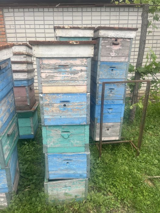 Продам корпусні вулики 10 рамочні