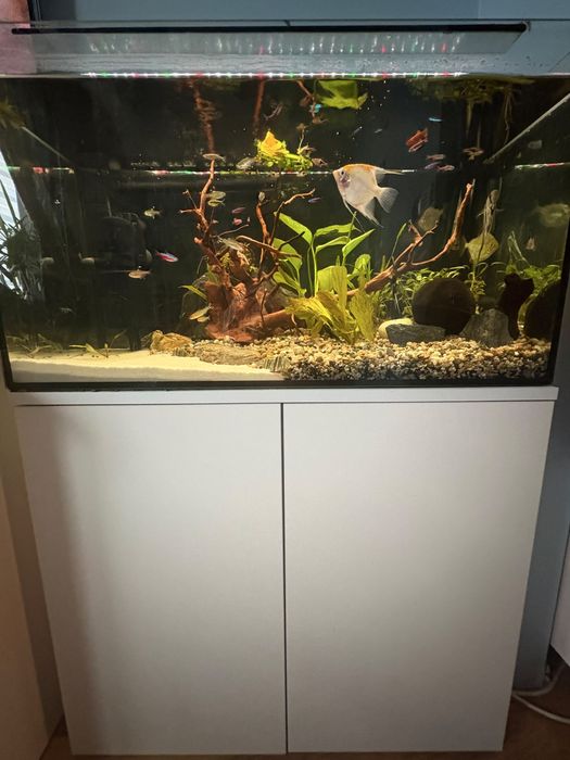 akwarium 126l zestaw