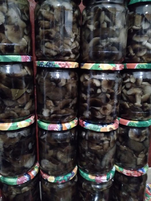 Гриби мариновані, вареня чорниці ,сушені та квашені . Гриби — купити