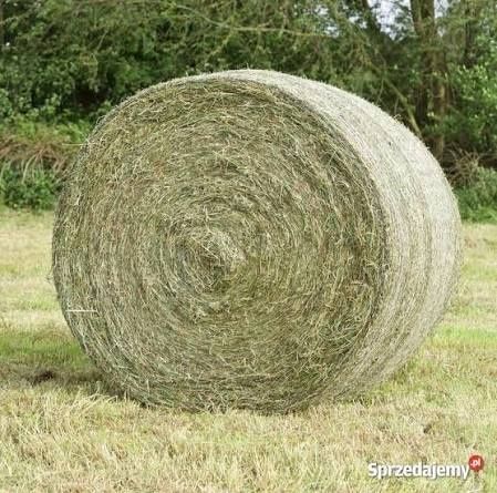 Sprzedam siano w belach 130