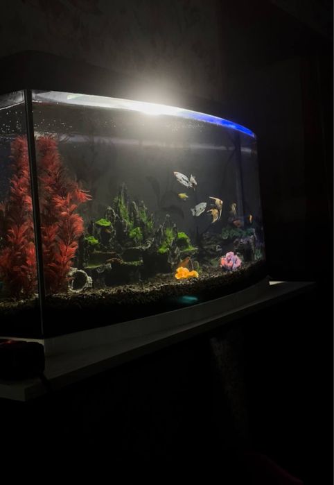 Акваріум 125л, цілий