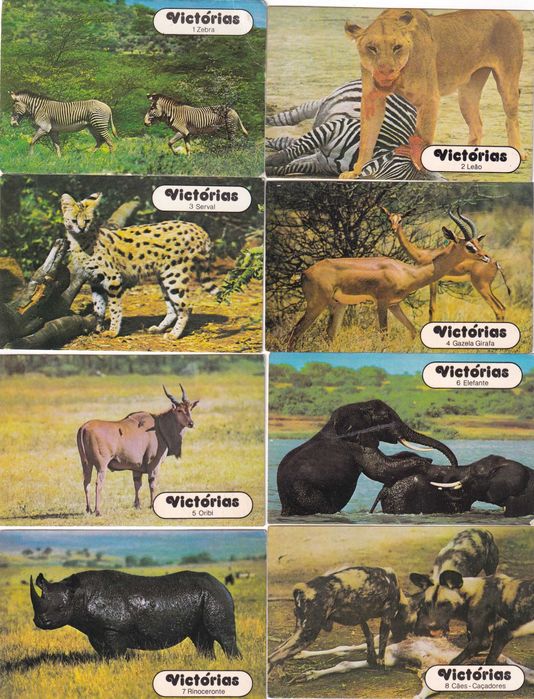 Calendários - Victórias (Completa)