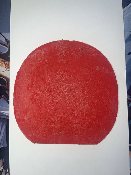 Dingnics 05 2.1 backhand