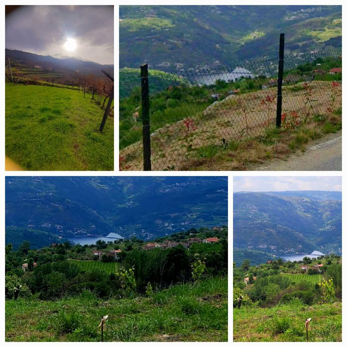 Terreno DOURO projeto aprovado+licença construção- vistas RIO!