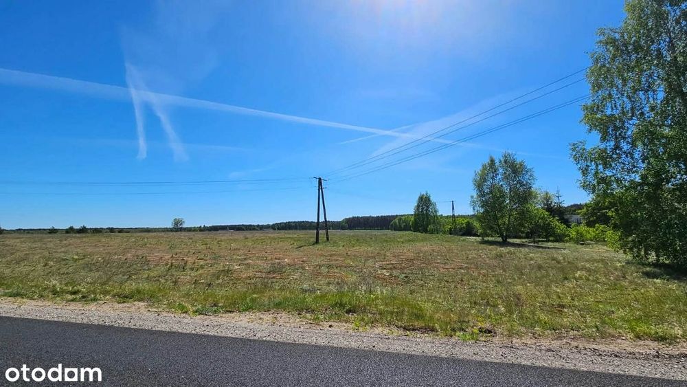 Sprzedam piękne położone działki budowlane – Brzozie, Bory Tucholskie. - Widok 4