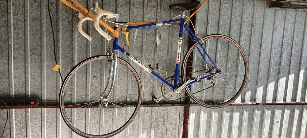 Rower Gios Torino profesjonalne.