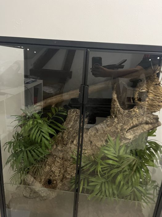Terrario para repteis