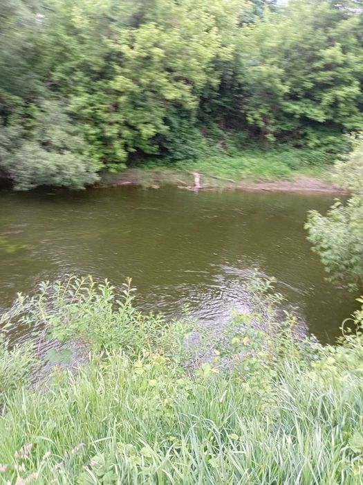 Продається ділянка біля річки