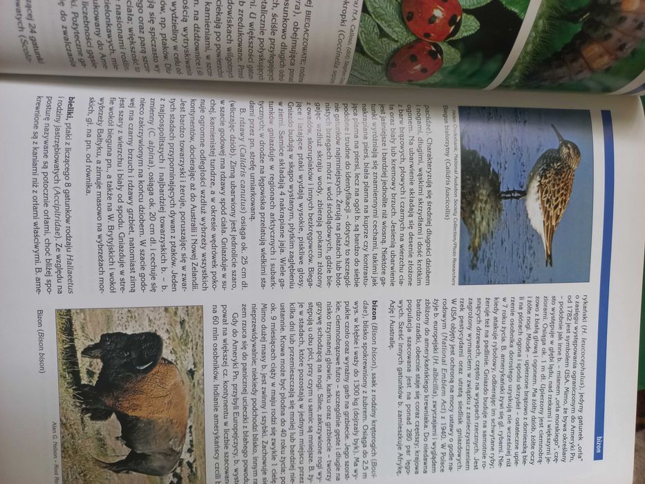 Encyklopedia audiowizualna Britannica- Zoologia I, z płytą CD