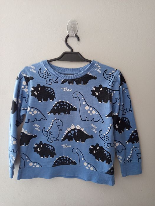 Bluza next dla chłopca dinozaury