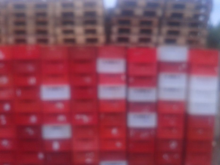 skup/sprzedaż palet drewnianych H1,E2,gitterbox