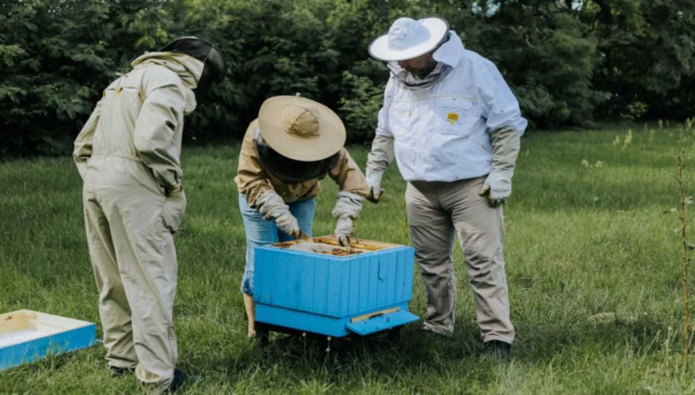 Wczesne ODKŁADY MAJOWE 2026 Rok i RODZINY Pszczele - Pasieka PRADAWNA®