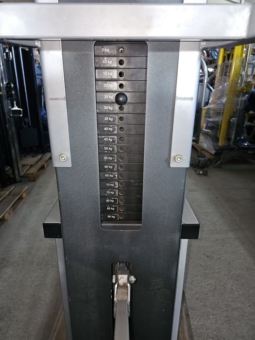 Asystent podciągania Chin Dip Cybex